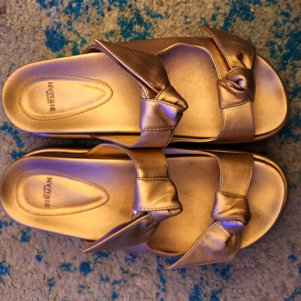 Birman Slides